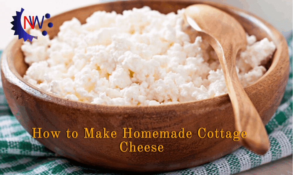 How to Make Homemade Cottage Cheese